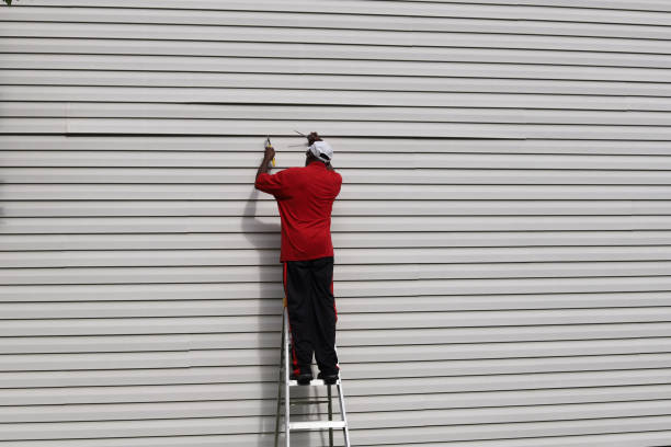 Best Storm Damage Siding Repair  in St Augustine Beach, FL